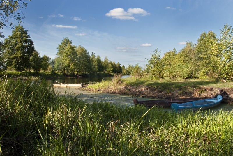 Річиця з panoramio.com - Річиця