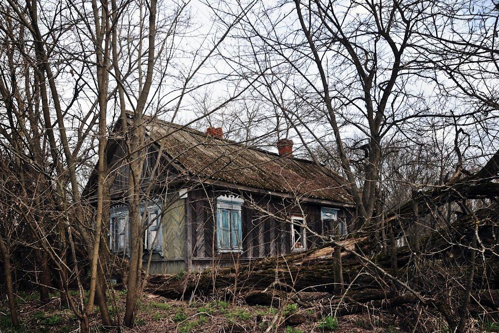 Черемошна з panoramio.com - Черемошна