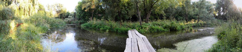 Липовець з panoramio.com - Lypovec