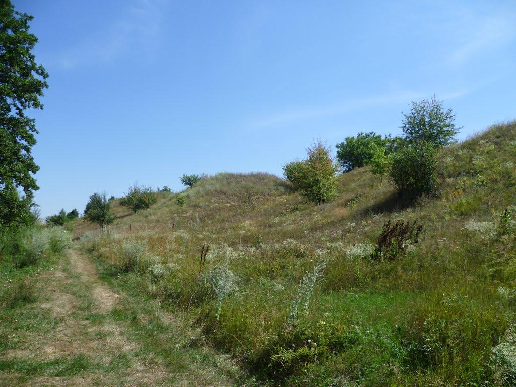 Устивиця з panoramio.com - Устивица