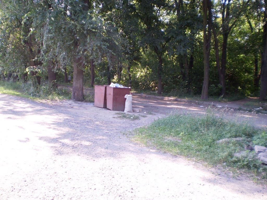 Кам'яне Поле з panoramio.com - Кам'яне Поле