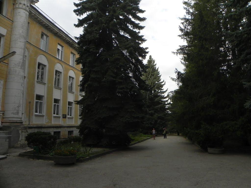 Научний з panoramio.com - Научний