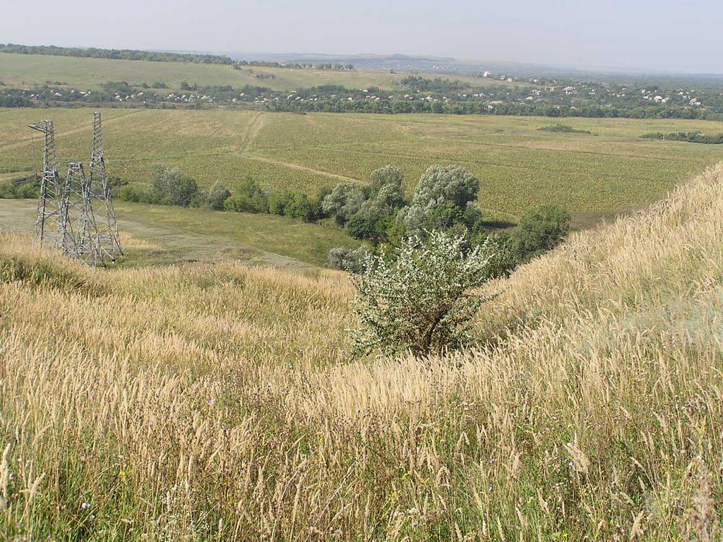 Дронівка з panoramio.com - Дроновка