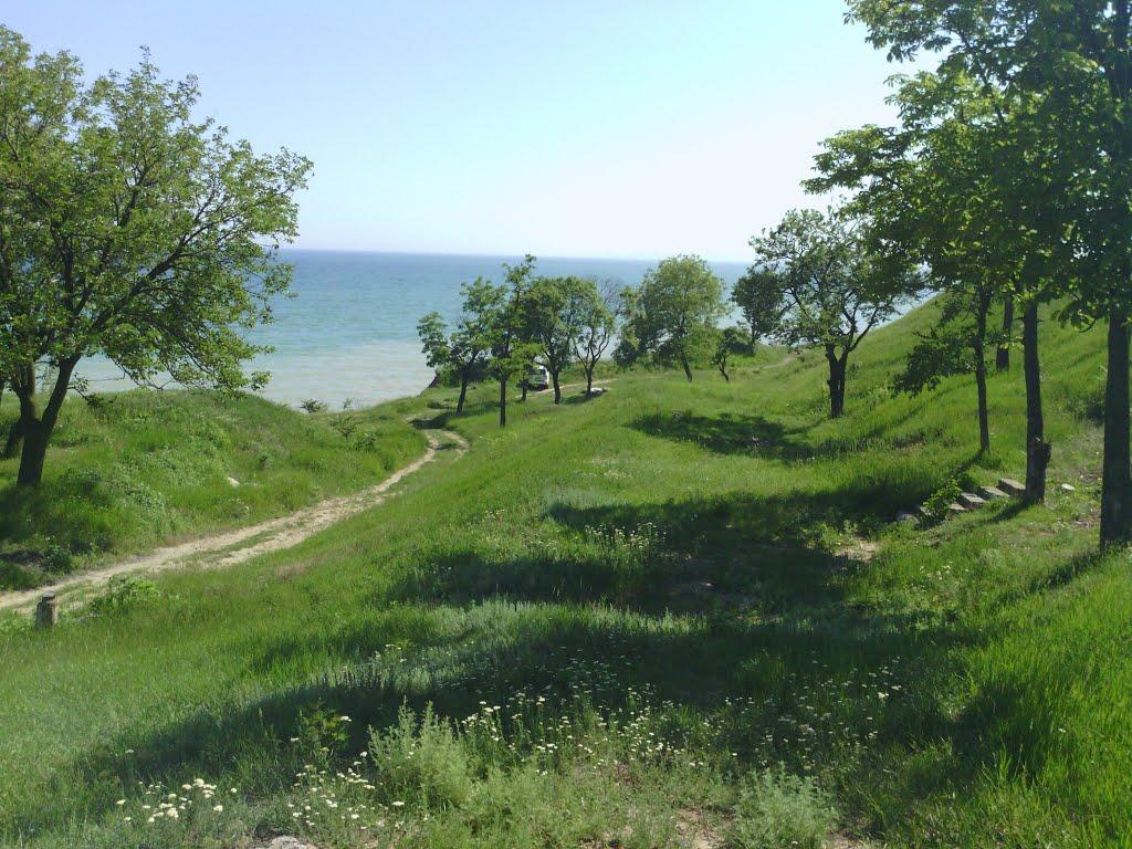 Фонтанка з panoramio.com - Фонтанка