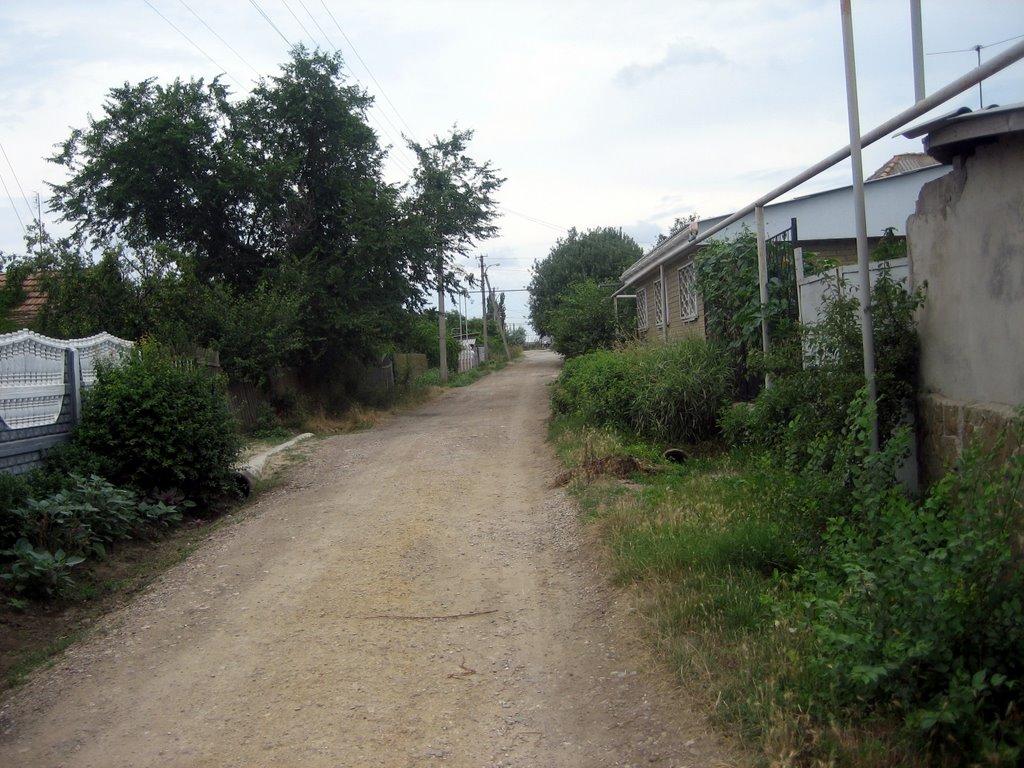Приморський з panoramio.com (ч.2) - Приморський