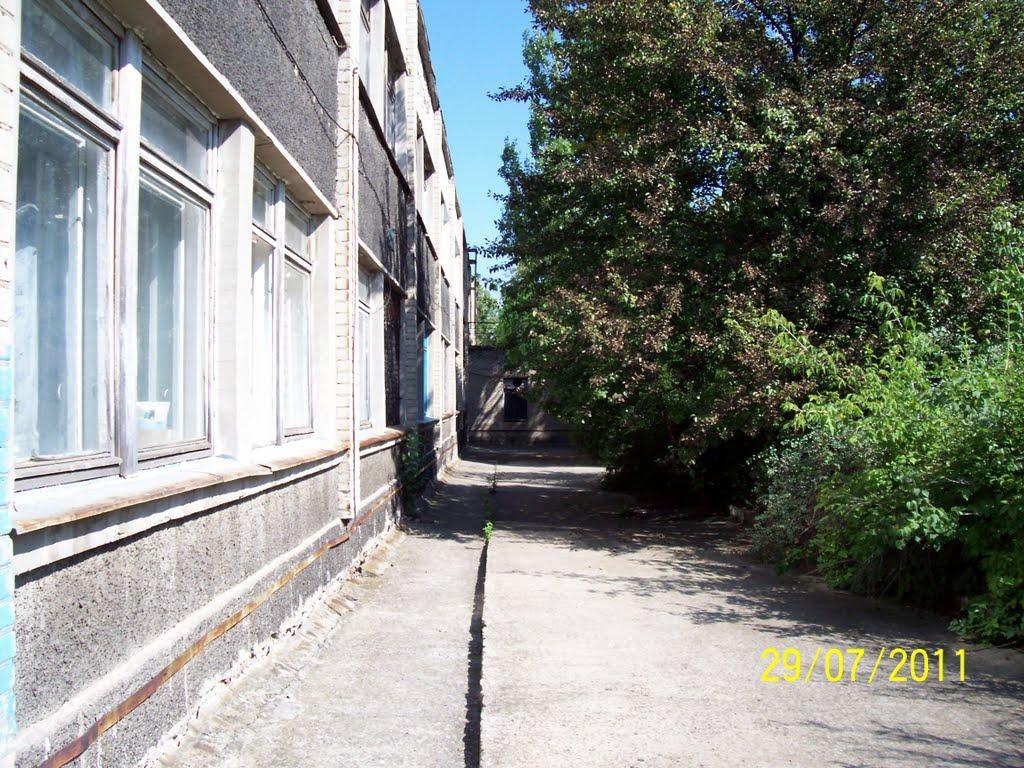 Миколаївка з panoramio.com (ч.2) - Николаевка