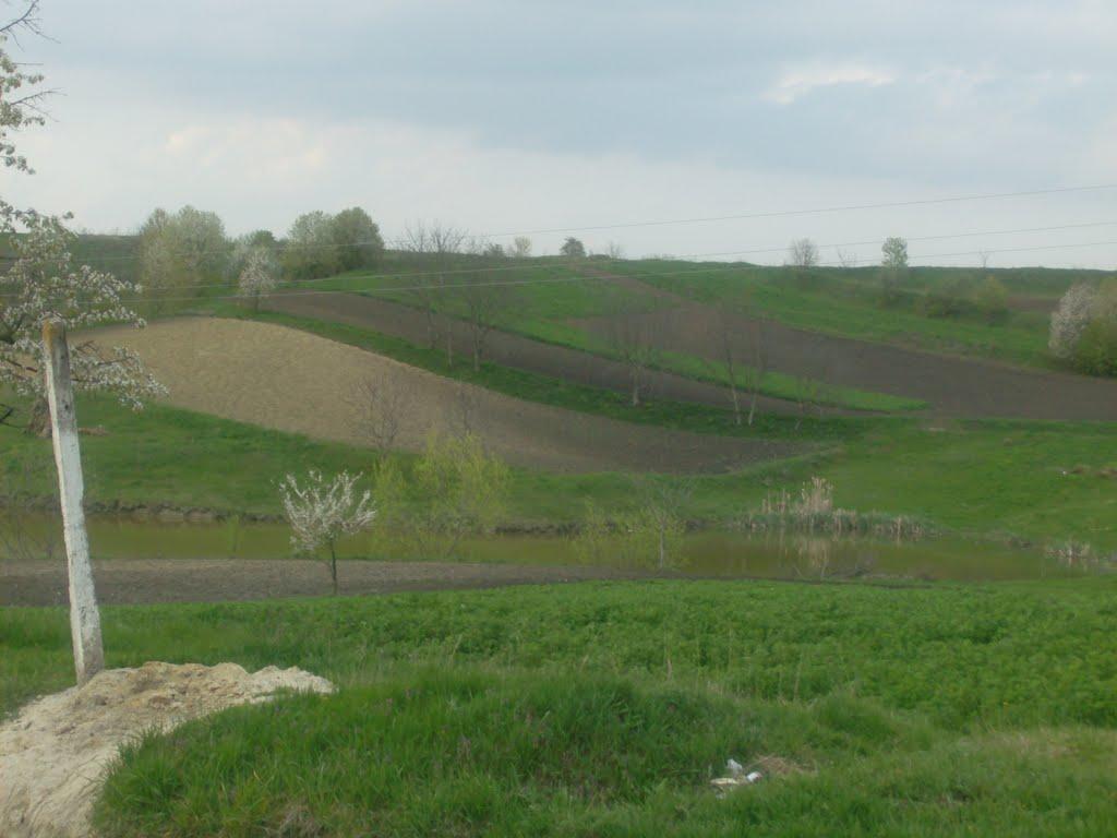 Рокитне з panoramio.com - Рокитне