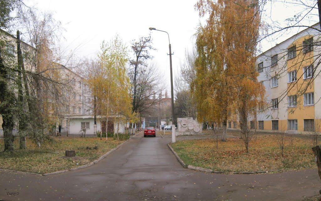 Долина з panoramio.com - Долина