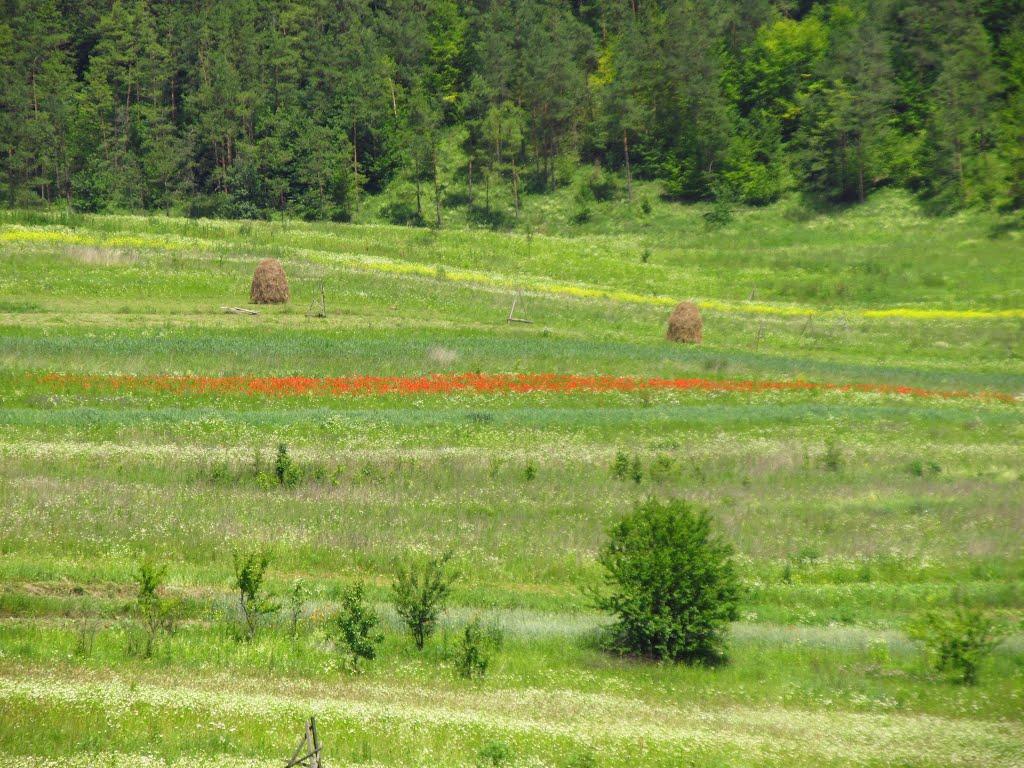 Маркова з panoramio.com - Маркова