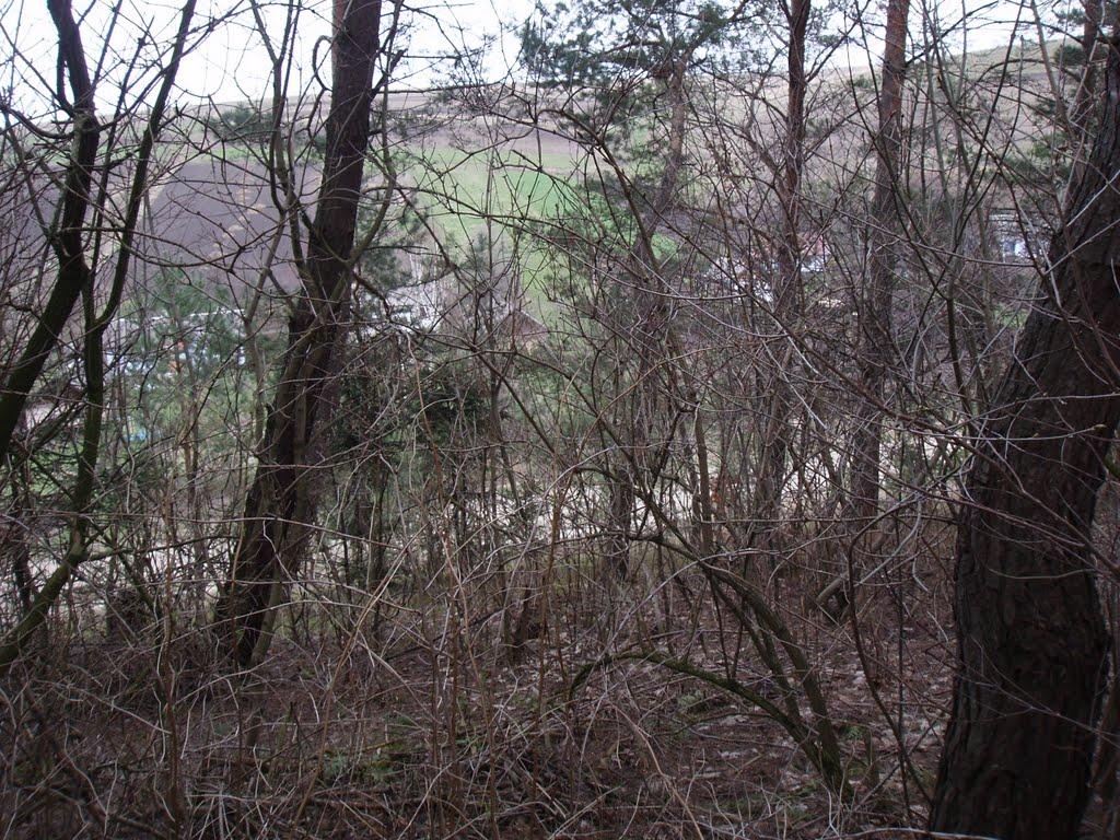 Вишнівчик з panoramio.com - Вишнівчик