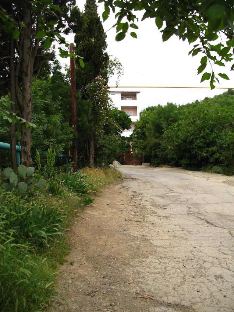 Лазурне з panoramio.com - Лазурное