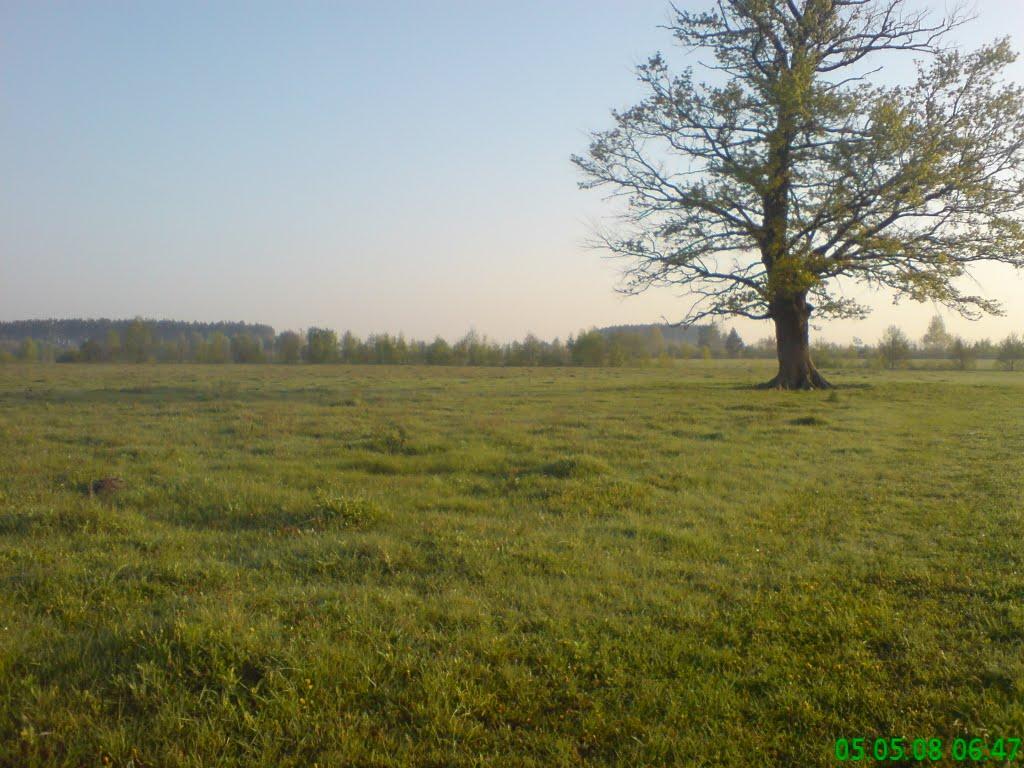 Залісся з panoramio.com - Залісся