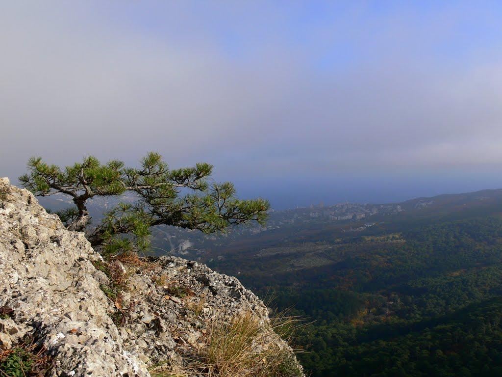 Високогірне з panoramio.com - Высокогорное