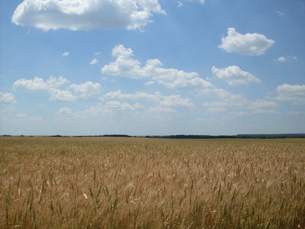 Леухи з panoramio.com - Леухи