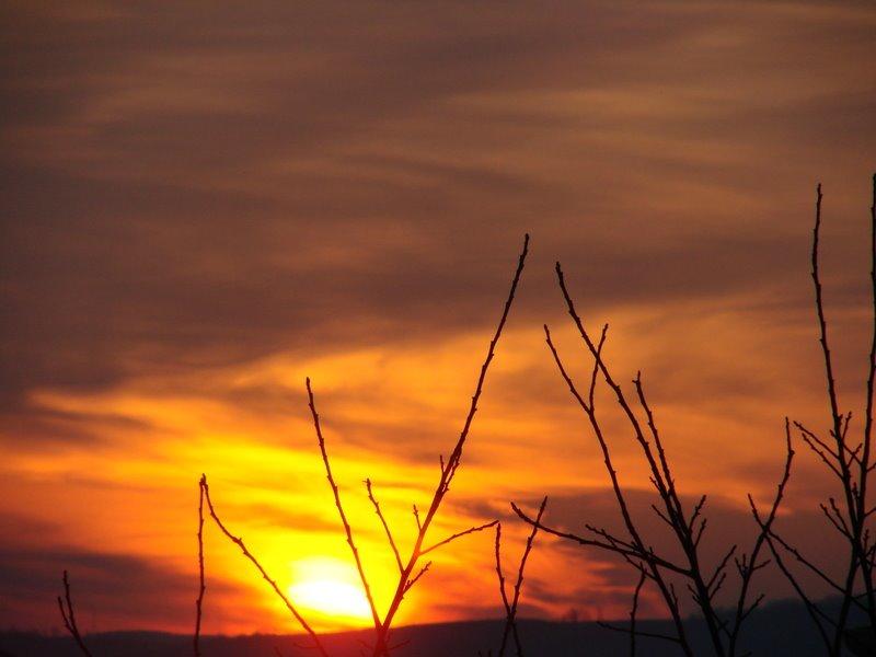 Вілюничі з panoramio.com - Вилюничи