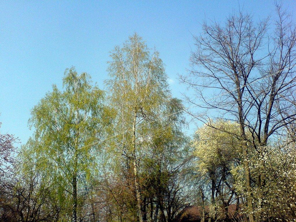 Краснопілка з panoramio.com - Краснопілка