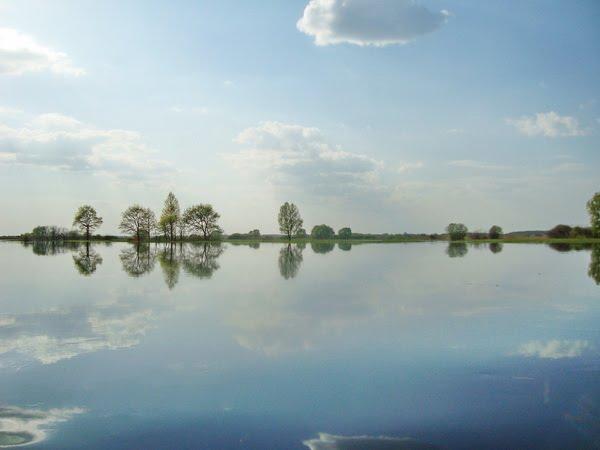 Займище з panoramio.com - Займище