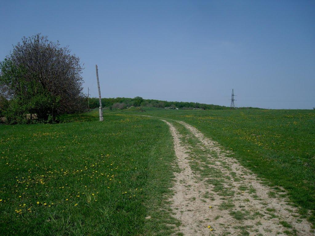 Вільховець з panoramio.com - Ольховец