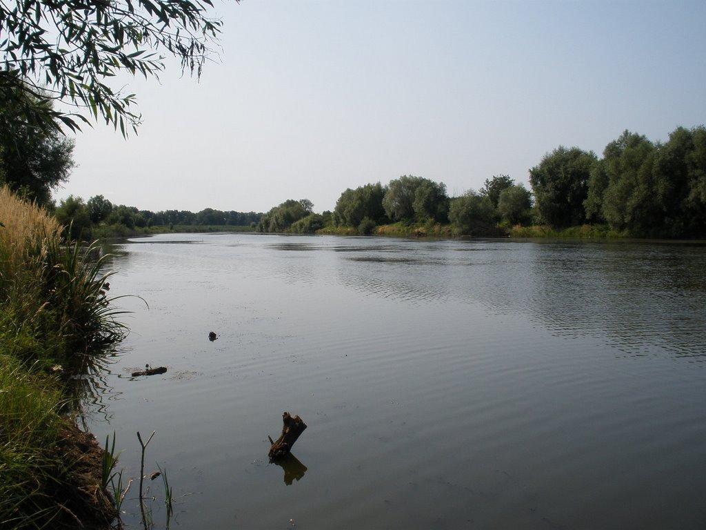 Соломоново з panoramio.com (ч.2) - Соломоново