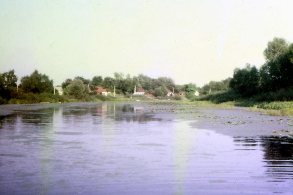 Білопілля з panoramio.com - Белополье