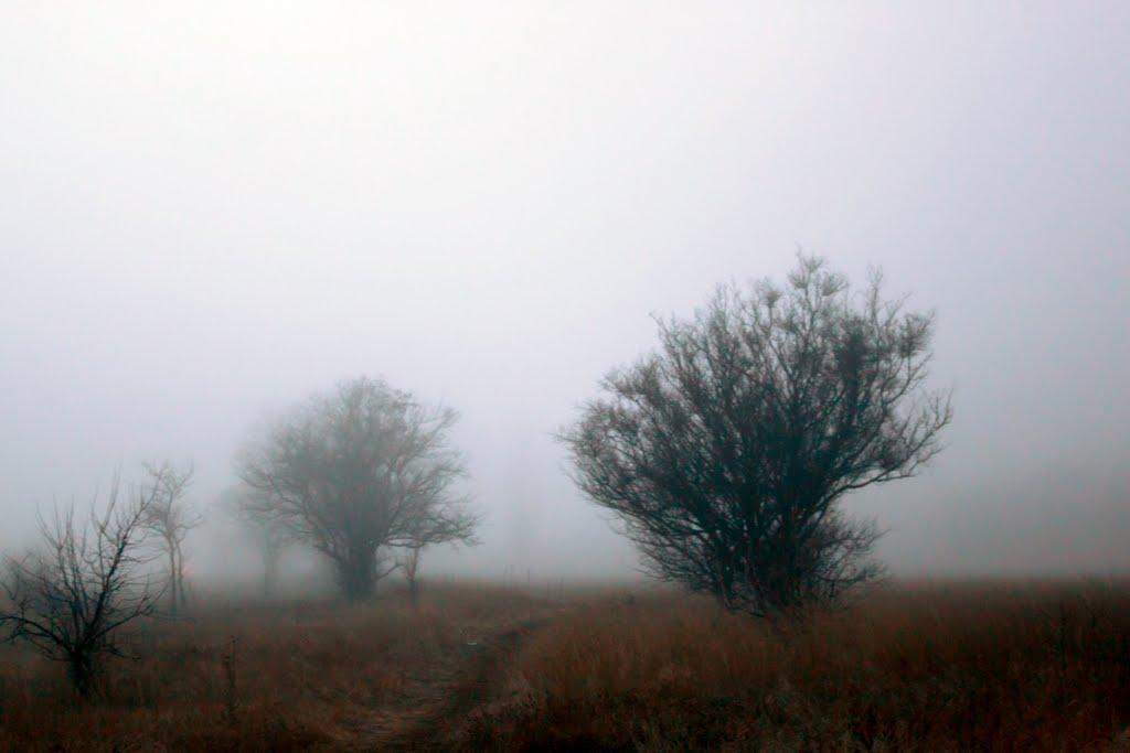 Шкільне з panoramio.com - Школьное