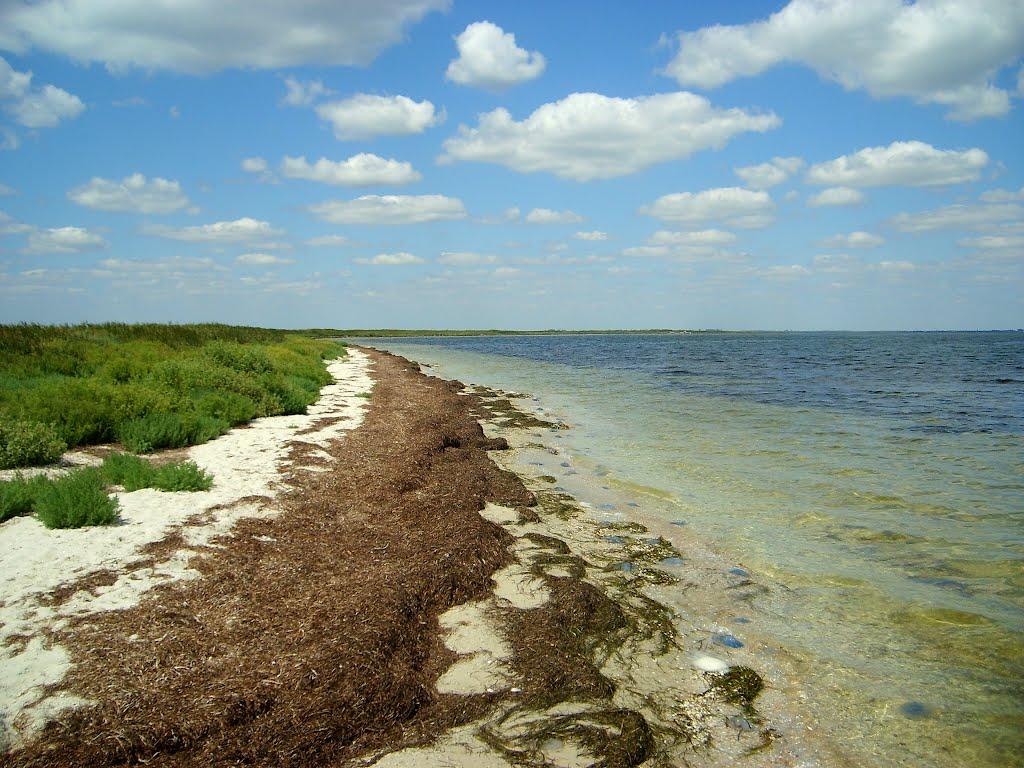 Роздольне з panoramio.com - Роздольне