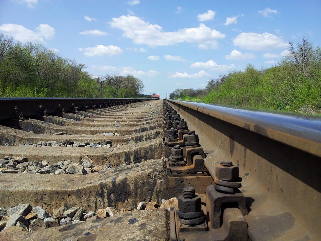 Червонопартизанськ з panoramio.com - Червонопартизанськ