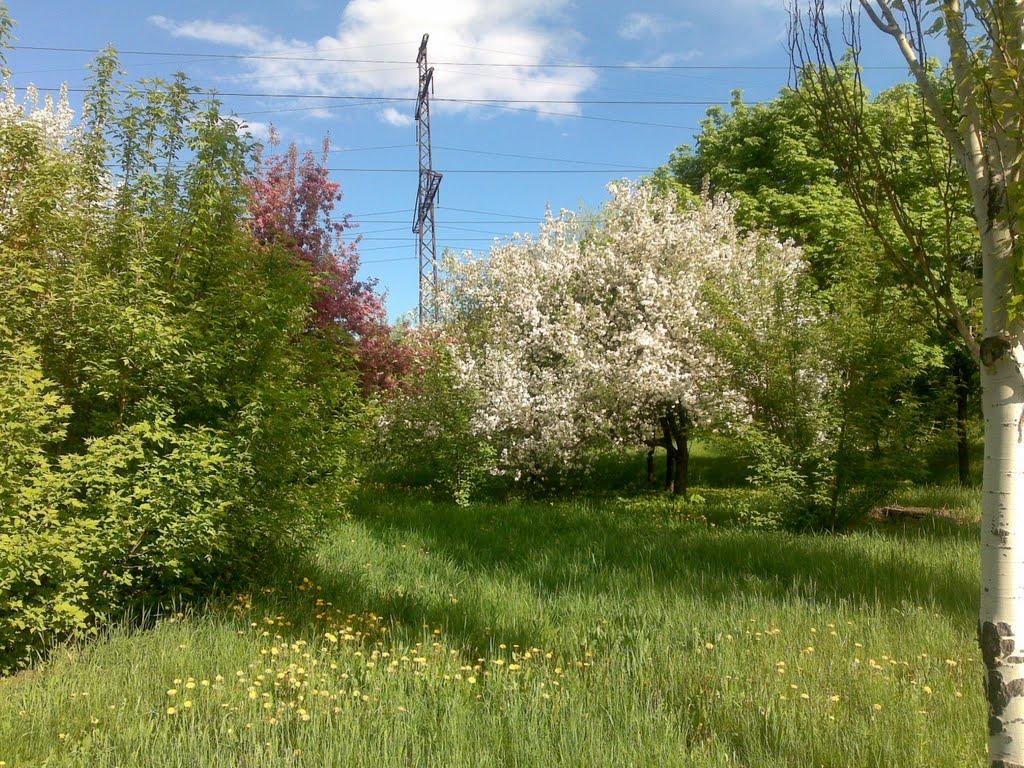 Краматорськ з panoramio.com (ч.3) - Краматорск