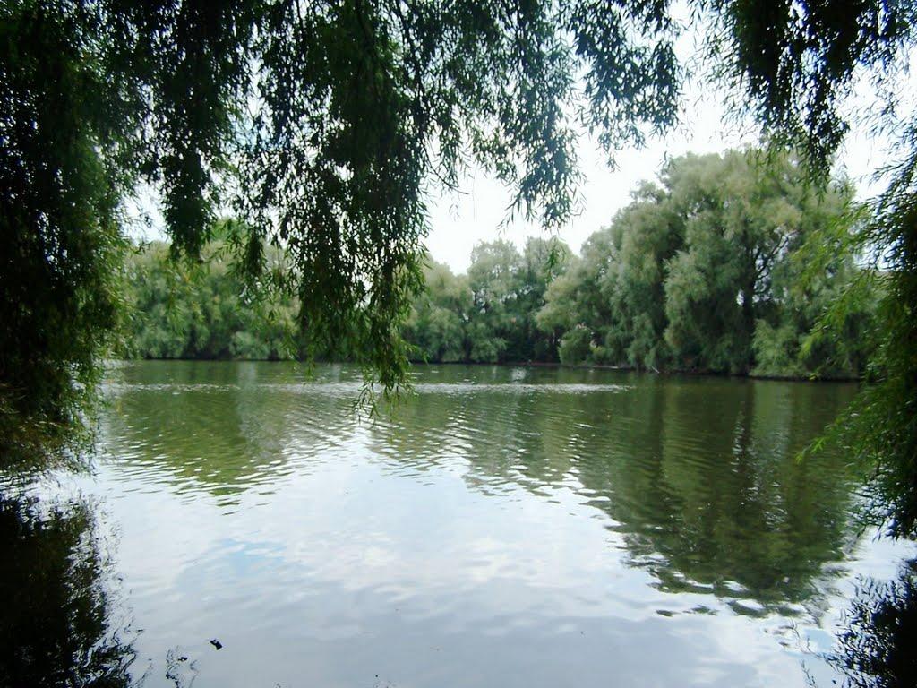 Коханівка з panoramio.com - Коханівка