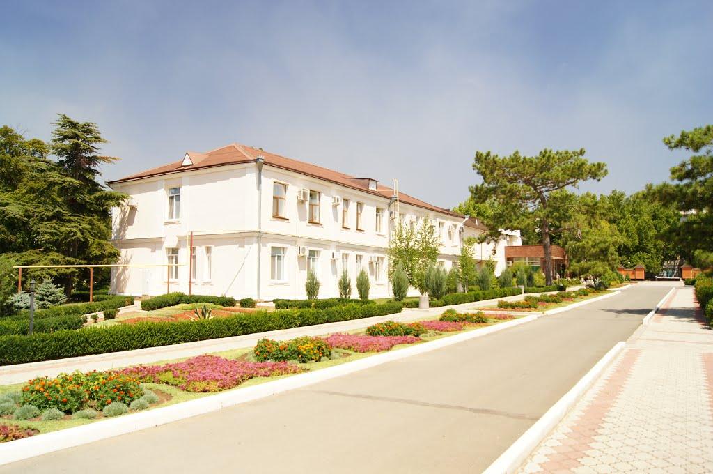 Саки з panoramio.com - Саки
