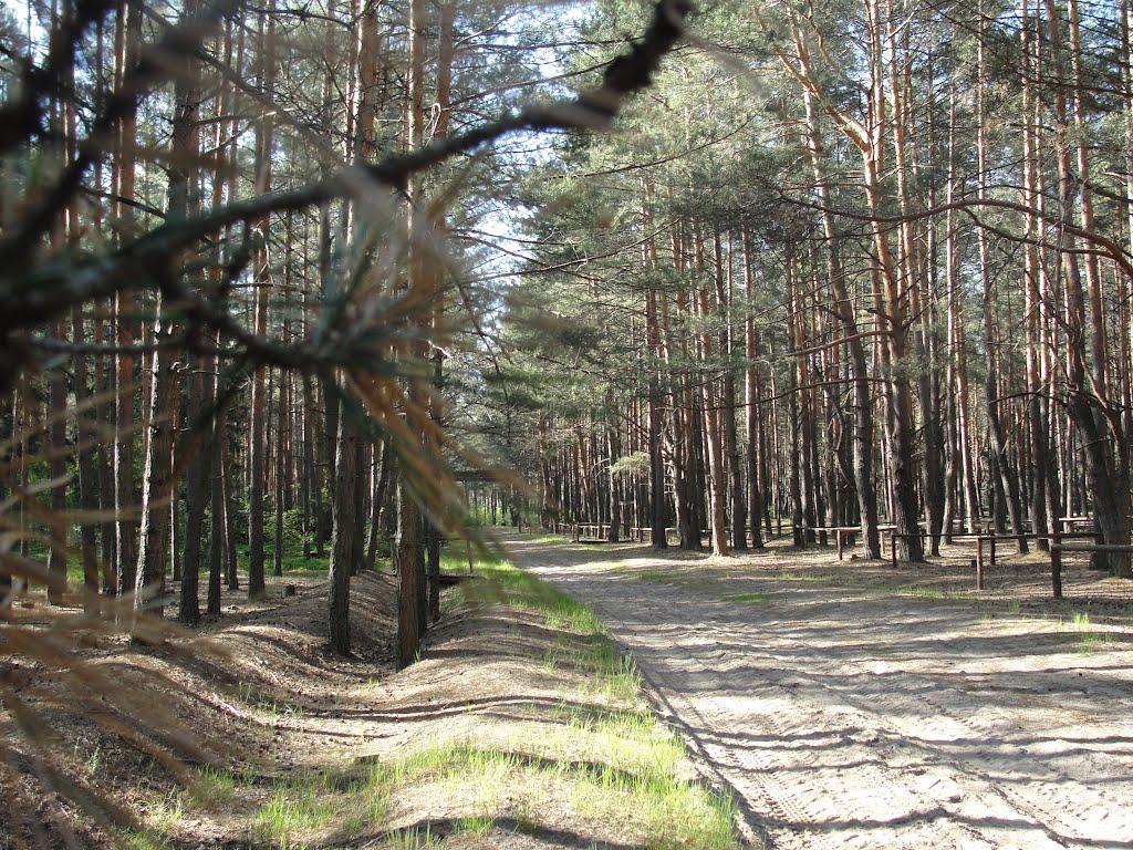 Костюхнівка з panoramio.com - Костюхнівка