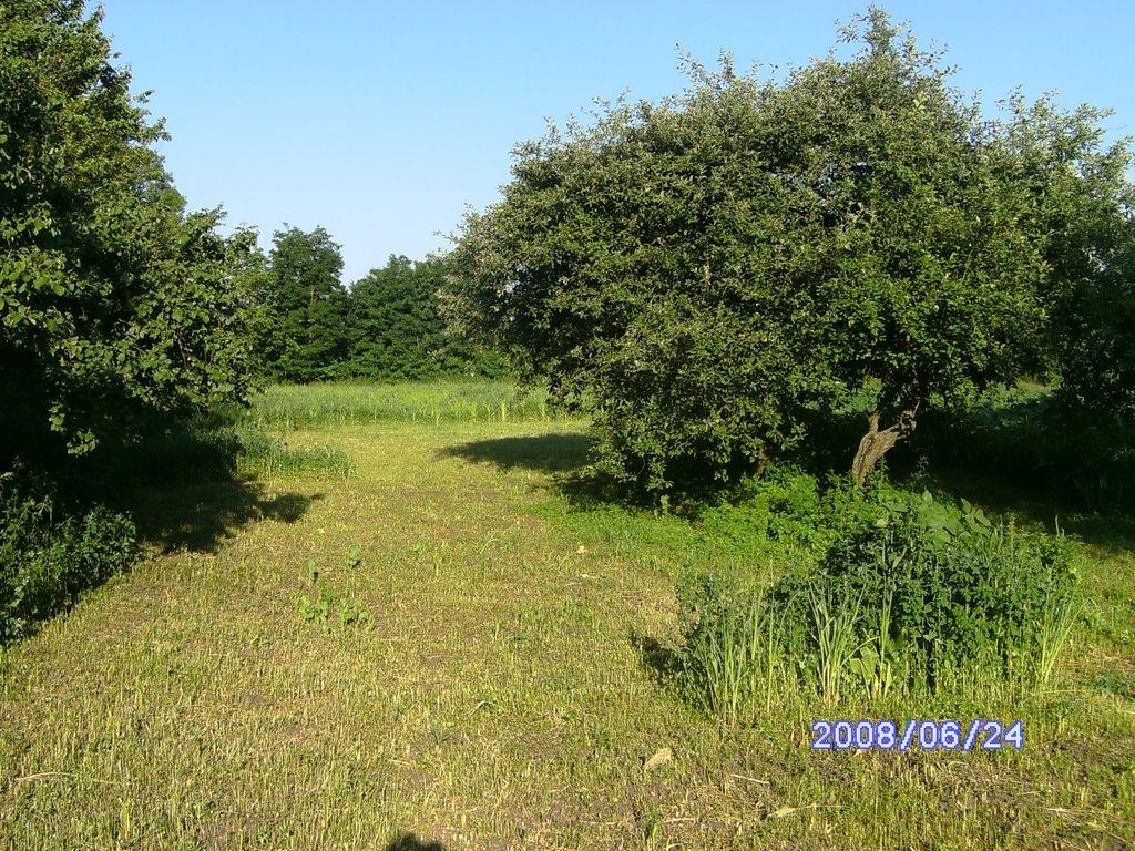 Жоравка з panoramio.com - Жоравка