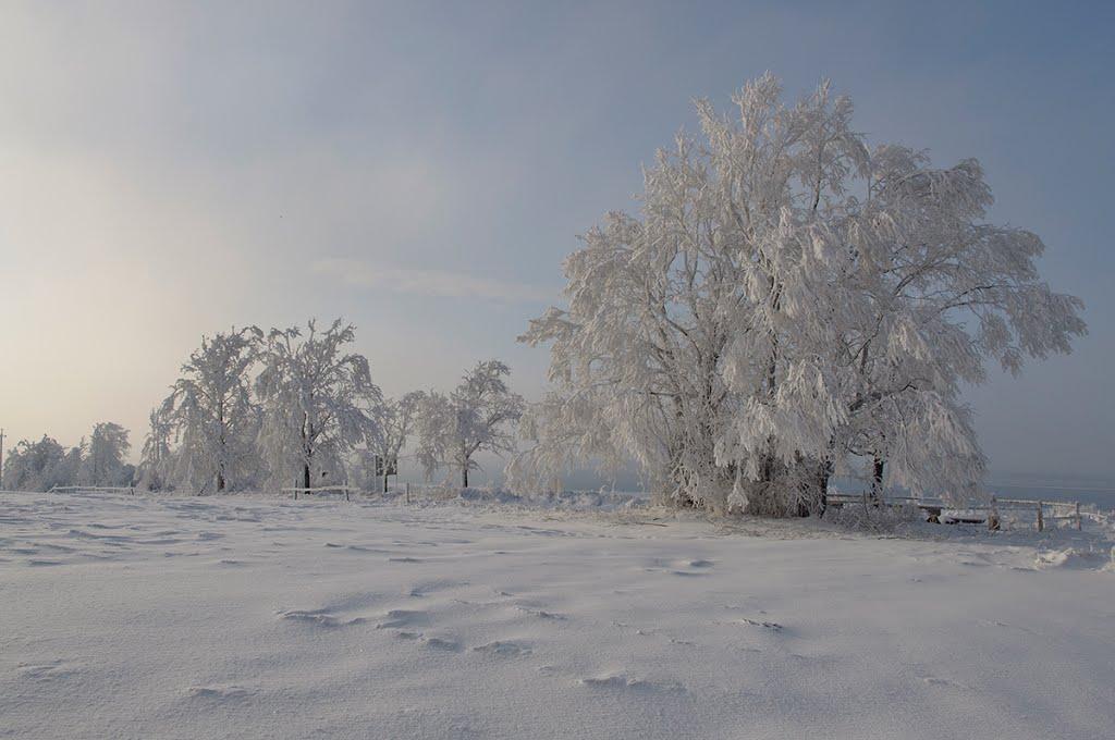 Красне з panoramio.com - Красне