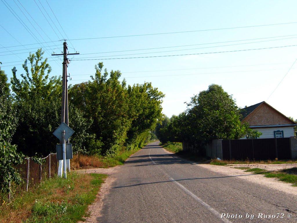 Рожів з panoramio.com - Rozhiv