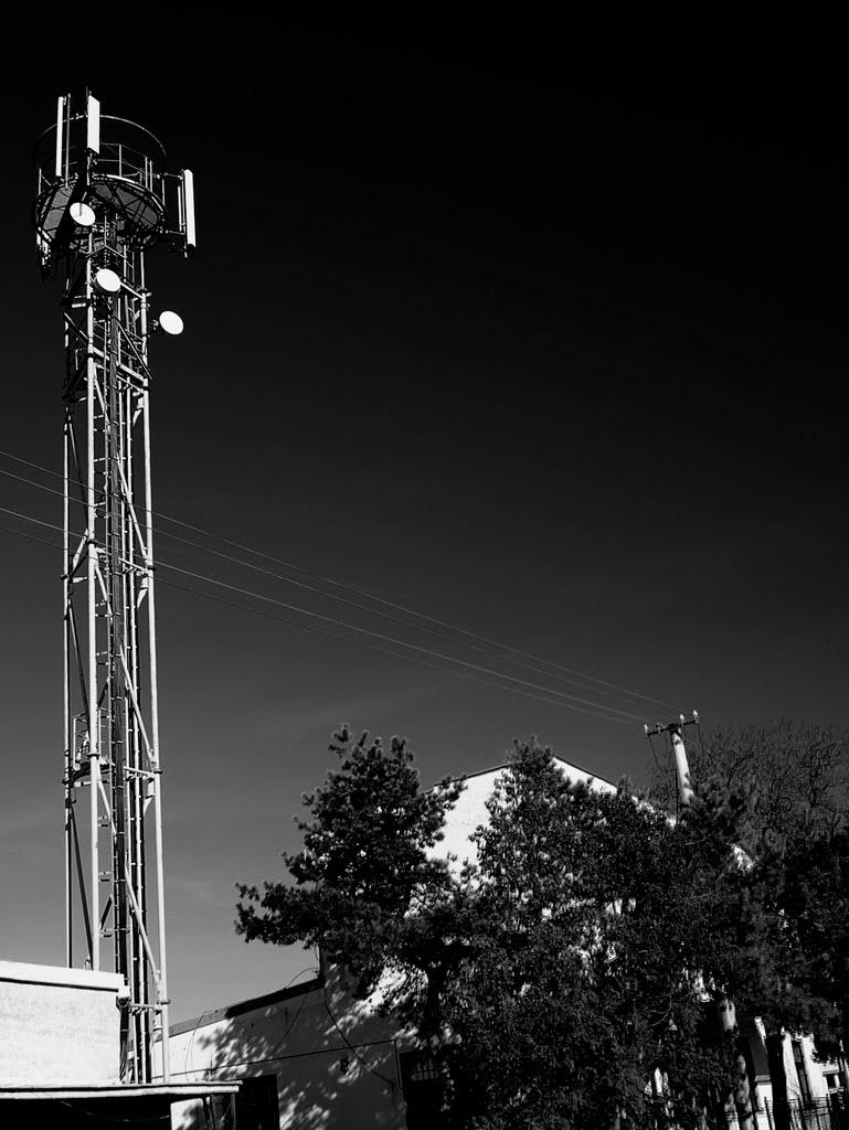 Розівка з panoramio.com (ч.2) - Розівка