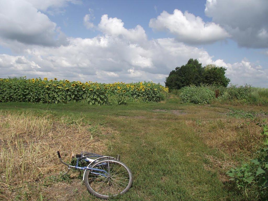 Мирівка з panoramio.com - Мирівка