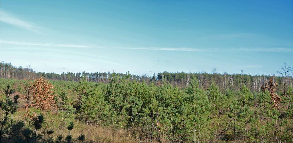 Горенка з panoramio.com - Горенка