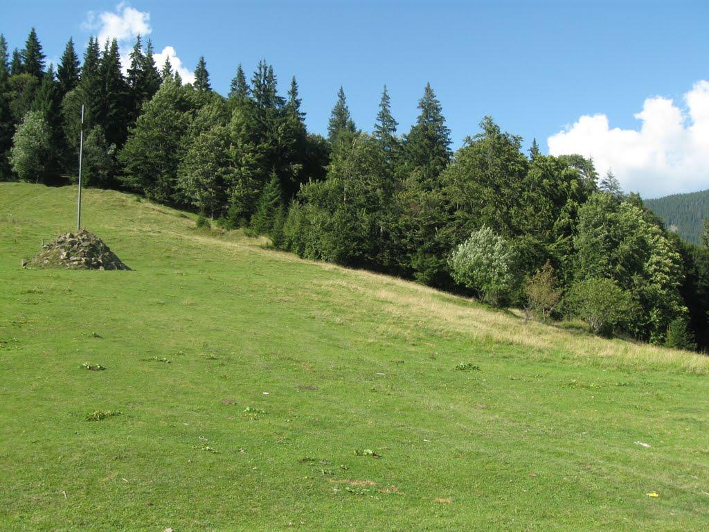 Згари з panoramio.com - Згари