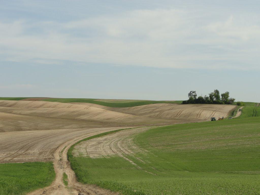 Буяни з panoramio.com - Буяни