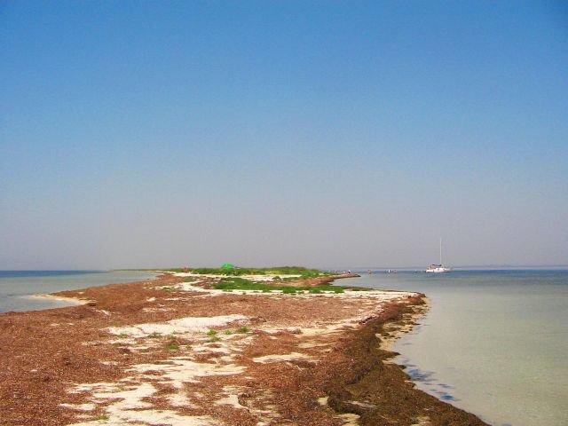 Роздольне з panoramio.com - Роздольне