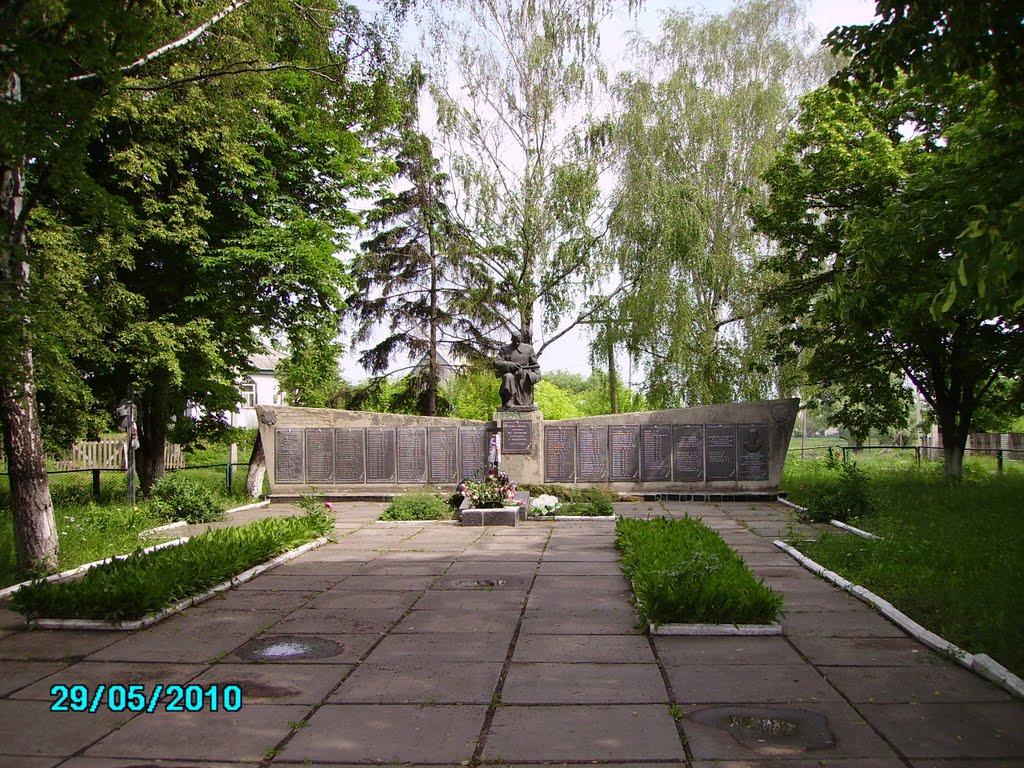 Росава з panoramio.com - Росава