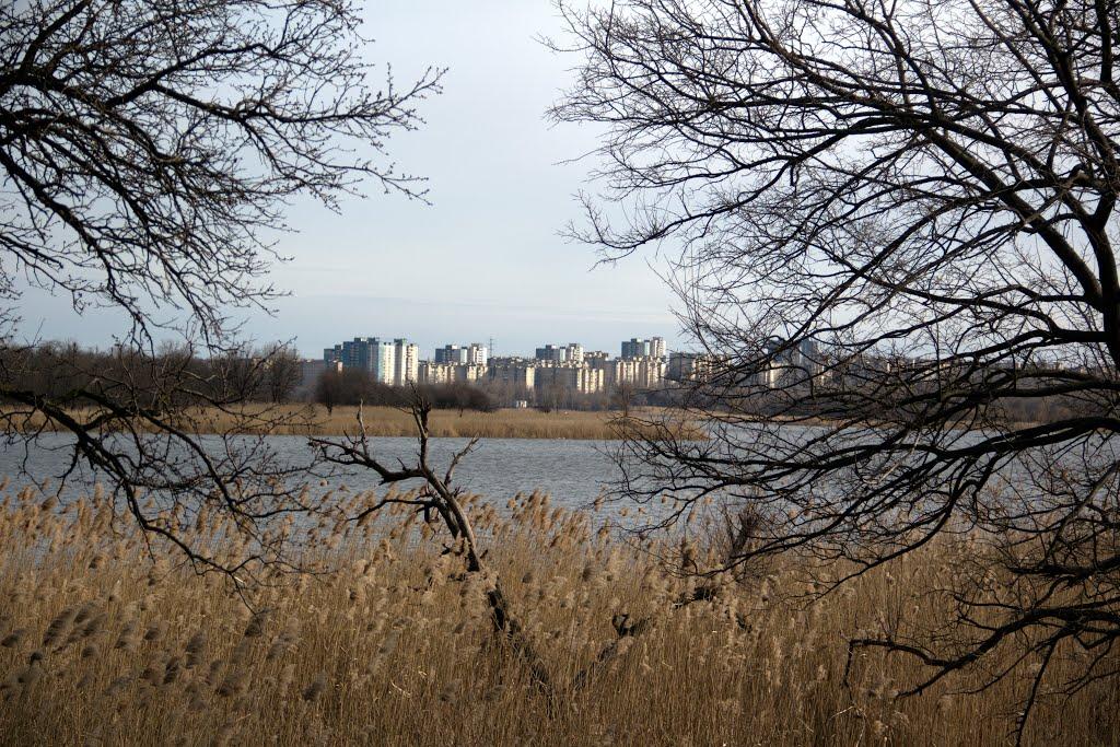 Тернуватий Кут з panoramio.com (ч.2) - Тернуватый Кут