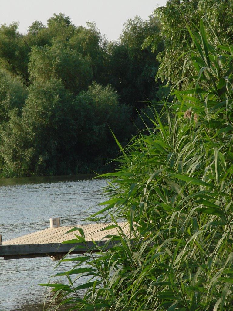 Вилкове з panoramio.com (ч.2) - Vylkove