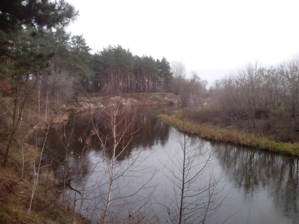 Липняк з panoramio.com - Липняк