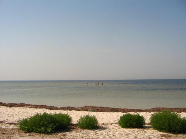 Роздольне з panoramio.com - Роздольне