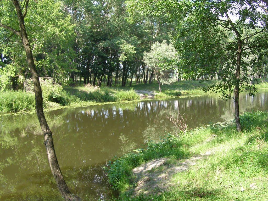 Велика Писарівка з panoramio.com - Велика Писарівка