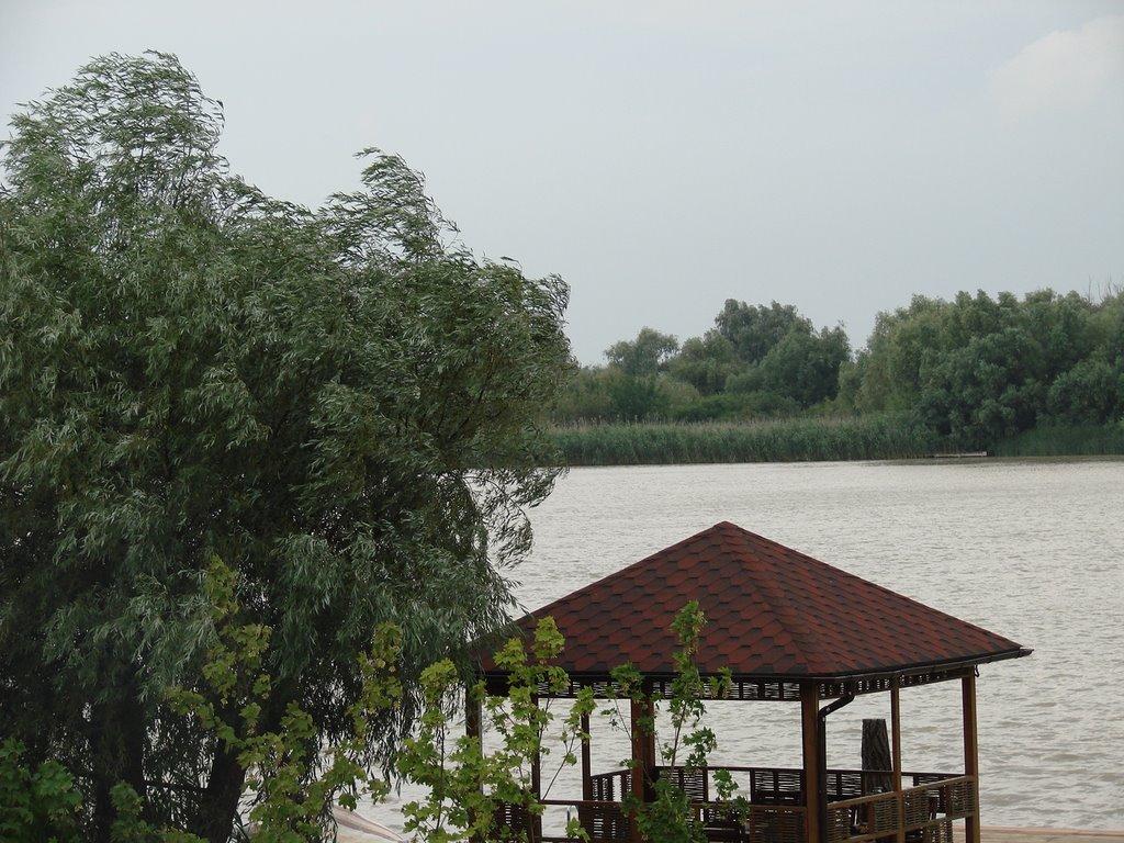 Вилкове з panoramio.com (ч.2) - Vylkove