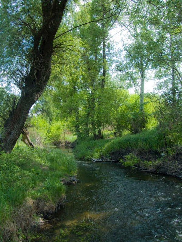 Петрівка з panoramio.com - Петрівка