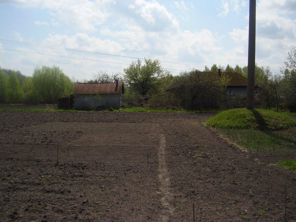 Чорноплатове з panoramio.com - Чорноплатове