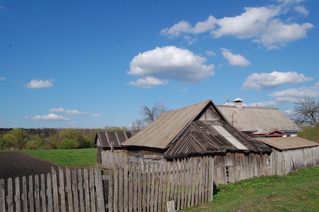 Рудня-Новенька з panoramio.com - Rudnya-Novenka